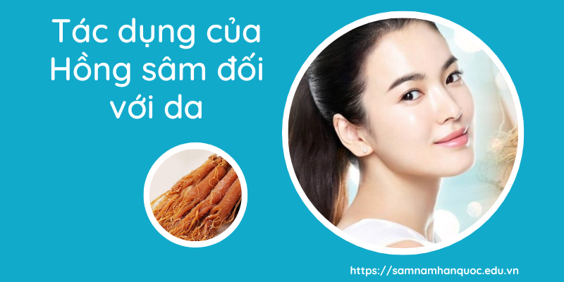 Tác dụng của Hồng sâm đối với da tác dụng của hồng sâm đối với da